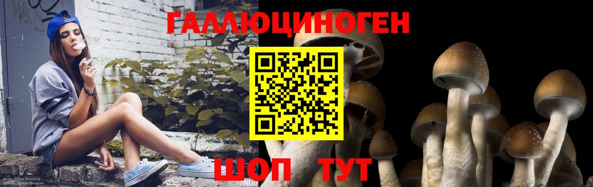 Коркино  Галлюциногенные грибы MAGIC MUSHROOMS  Псилоцибиновые грибы Psilocybine cubensis  Вход с VPN 